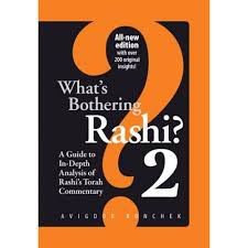 Whats bothering Rashi 1: a guide to in-depth analysis of rashi´s torah commentary